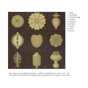 Protozoa by Jane Troup 