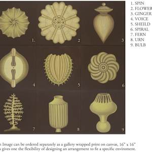 Protozoa by Jane Troup 