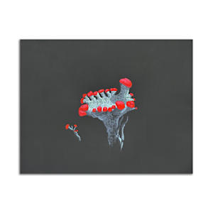 Red Soldier by Jane Troup, Image 2.