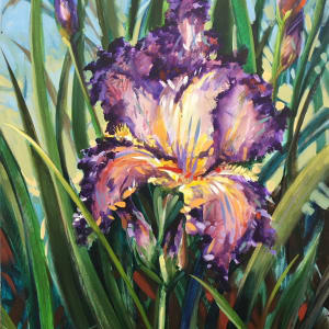 Purple Iris by Roberto Regalado 
