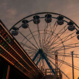 Anticipating Nightfall by Valerie Rippey 