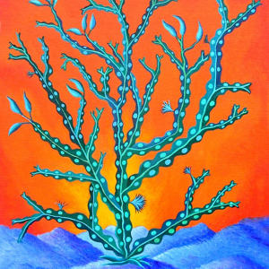 Seaweed by Jane Troup 