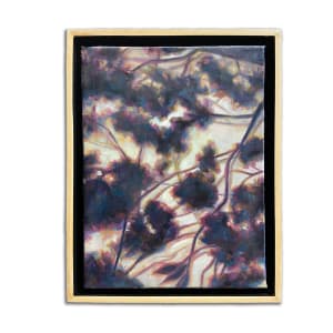Shadow Play I by Christie Snelson, Image 2.
