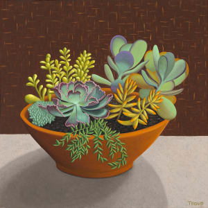 Succulents by Jane Troup 