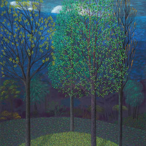 Trees on Blue by Jane Troup 