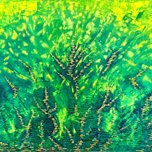 Variegated Yucca by J.D. Hull, Image 1.