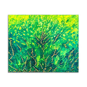 Variegated Yucca by J.D. Hull, Image 2.