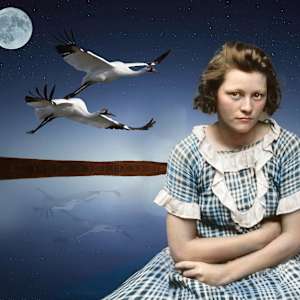 Loneliness by Victoria Johnson 