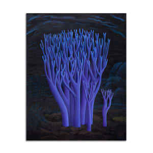 Violet Coral Mushrooms by Jane Troup