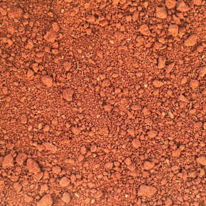 Catawba Clay Forest (working title) by Jean Lee Cauthen, Image 11.