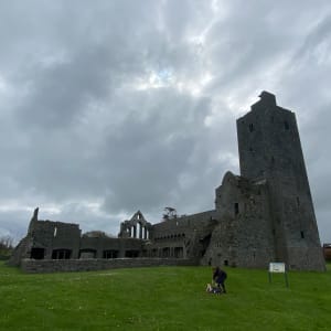 Ardfert Friary by Jean Lee Cauthen 