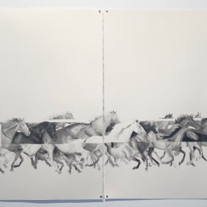 Split/Shift by Janelle W Anderson