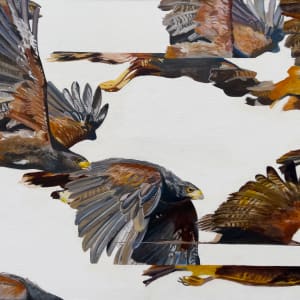 Pattern Recognition by Janelle W Anderson