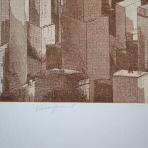 Viewpoint by Diana E. Birnbaum 
