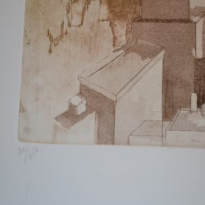 Viewpoint by Diana E. Birnbaum 