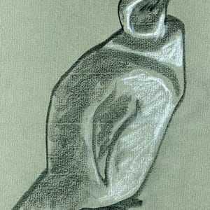 Stubby Penguin by Anne Wienholt 