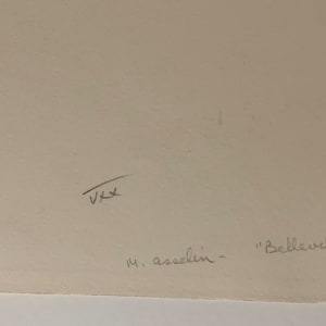 Belleville a vol d'âme by Maurice Asselin 
