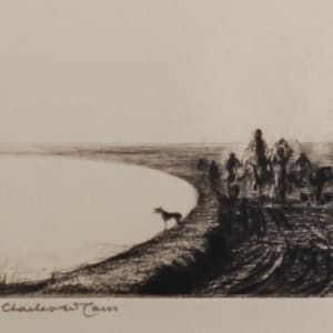 120º Tigris by Charles William Cain 