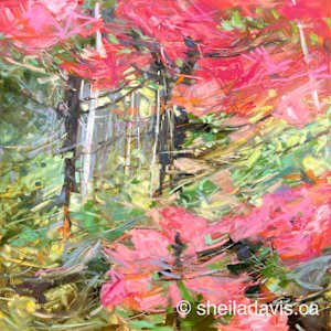 She Wore Pink Feathers by Sheila Davis  SCA OSA SFCA 