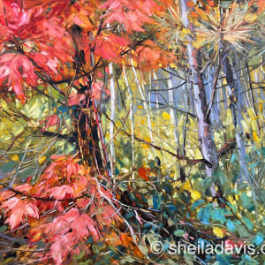 Tangled Hearts by Sheila Davis  SCA OSA SFCA 