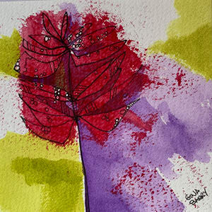 Castilleja by Gina Barry