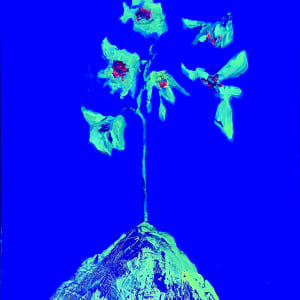 Bloom Algorithms by David Haig Alexander  Image: Bloom Algorithm in Blue with UV light