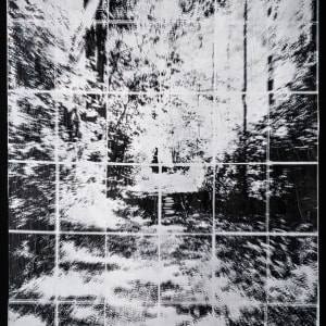 The Peppermint Trail B&W