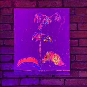 Orchid Algorithm No1 by David Haig Alexander  Image: In situ; The Green Island Cafe (ADMO Art Walk 2023) 
