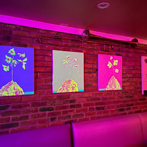 Bloom Algorithms by David Haig Alexander  Image: In situ; The Green Island Cafe (ADMO Art Walk 2023) 