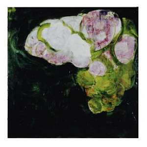 Cloud Collector by David Haig Alexander