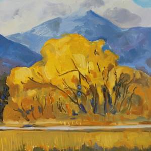 Golden Ponds, Longmont by Monica E Carroll