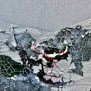 Ashes to Ashes by Jen Chau, Image 2.