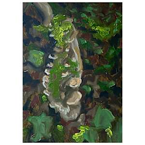 Trincos pora atlantica study, 2022 by Jen Chau