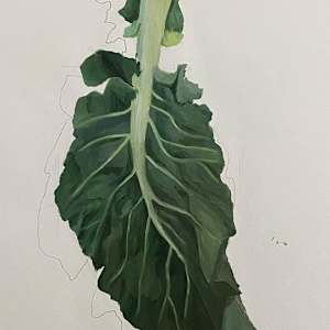 Cauliflower Leaf by Jen Chau, Image 3.