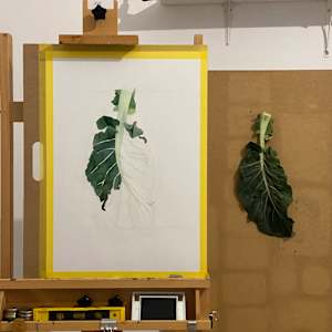 Cauliflower Leaf by Jen Chau, Image 2.