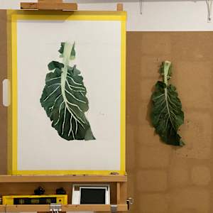 Cauliflower Leaf by Jen Chau, Image 4.