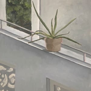 Rescued Aloe Vera by Jen Chau, Image 1.