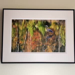 Heron in Water Abstract by William Hanley