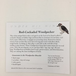 Red-Cockaded Woodpecker by Beverly Iber 