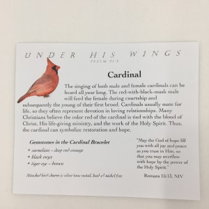 Cardinal by Beverly Iber 