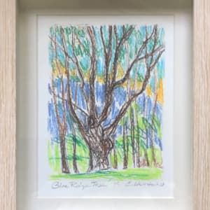 12. Blue Ridge Tree by Emily Eve Weinstein