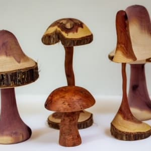Wooden Pieces (1) by Chapel Hill Woodturners