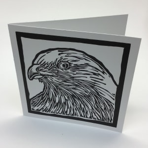 Arts and Health - Volume 2 Coloring Book Note Cards - Animals - 8 Pack Note Cards by Arts and Health at Duke  Image: Hospital Hawk