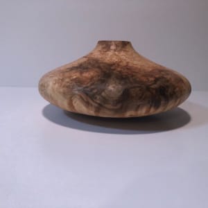 Maple Burl / Closed Form #029 by Bill Neville 