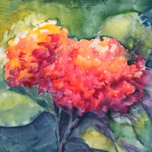 Sunshine on Flower by Lois Blasberg 