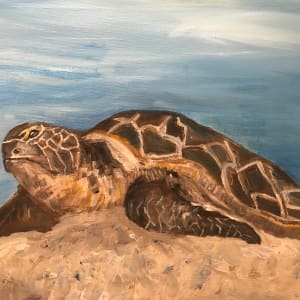 Sea Turtle by Leslie Kelly