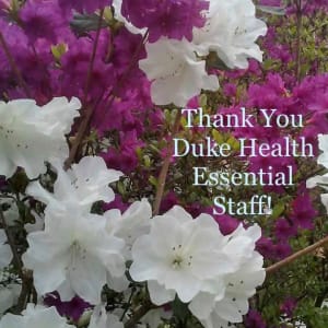 Thank You Duke Health Essential Staff by Anonymous