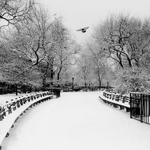 Tompkins Square, NYC by John Rosenthal