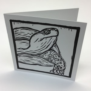 Arts and Health - Volume 2 Coloring Book Note Cards - Animals - 8 Pack Note Cards by Arts and Health at Duke  Image: Wandering Turtle