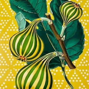 Yellow Striped Figs by Jennifer Clifton